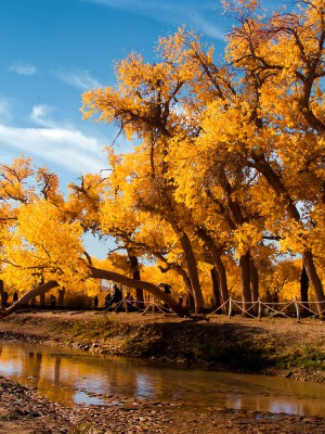 20121007-huyangling (2)