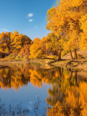 20121007-huyangling (5)