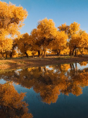20121007-huyangling (7)